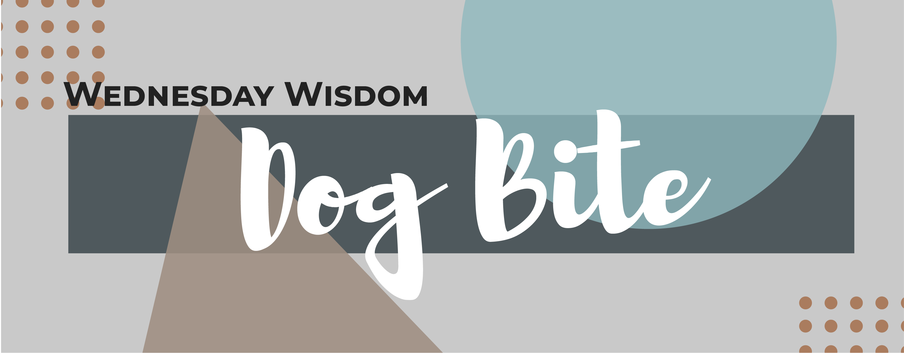 Dog Bite