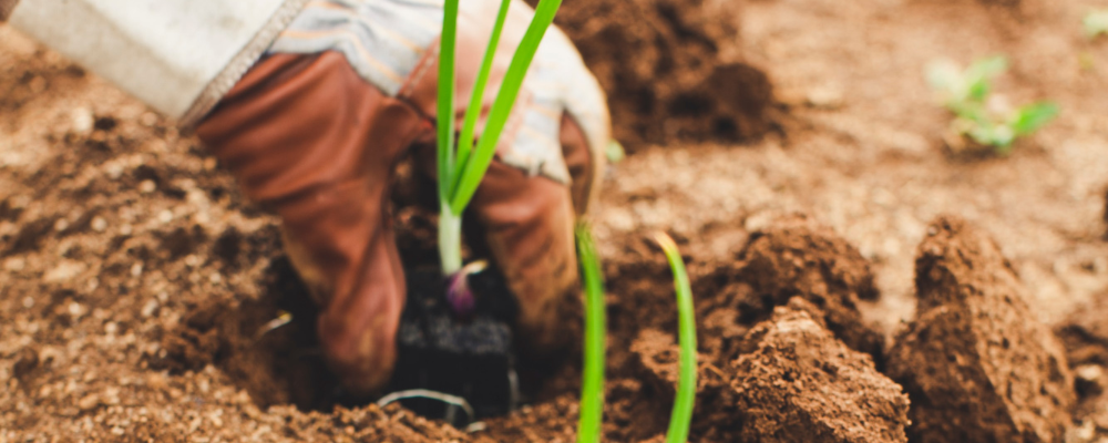 Reducing ICC's Environmental Impact